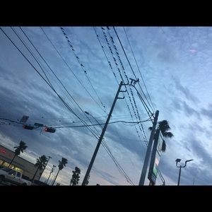 Meet your Posher, May